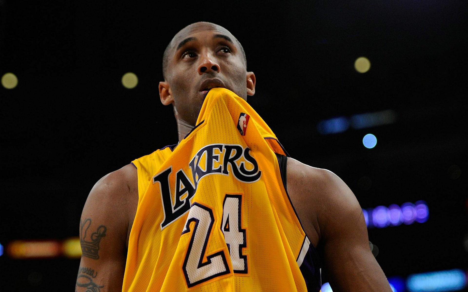 应对类似的 应对类似的